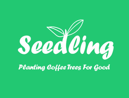 Coffee Tree Subscription